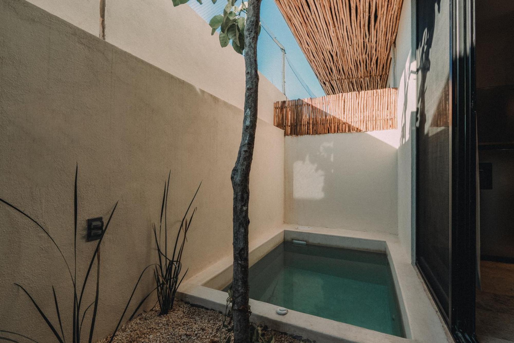 Departamento Con Piscina Privada! Appartement Tulum
